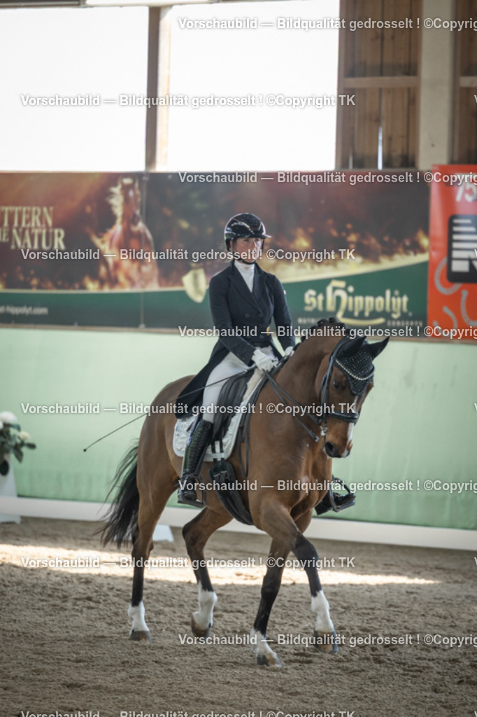 _D5A9856 | Emotionale Pferde- & People-Fotografie rund um Heidelberg, Leimen & Umgebung. Natürliche Fotos von Pferd, Mensch & Familie. Jetzt Termin sichern!