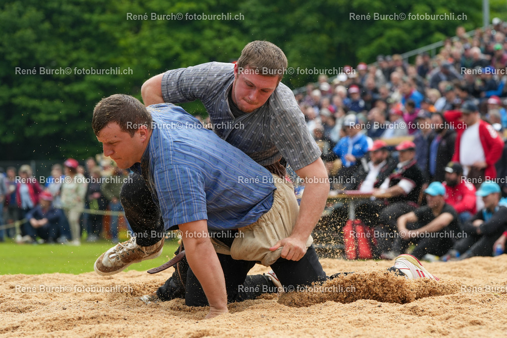RB_08864-2 | René Burch leidenschaftlicher Fotograf aus Kerns in Obwalden.  Hier finden sie Sport, Landschaft und Natur Fotografie.
 - Realisiert mit Pictrs.com