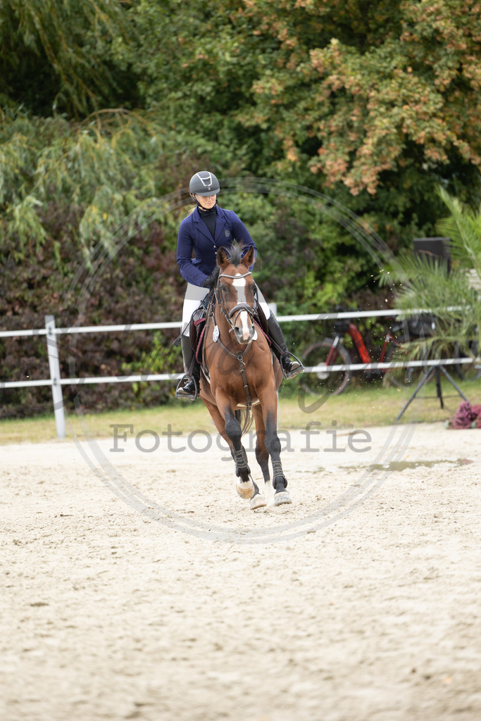 994A2487 | sabrinanicolaifotografie - Realisiert mit Pictrs.com