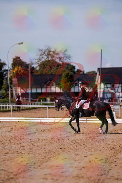 2026_10_03_Siefer-Hof_115444_Z81_94471589 | Professionelle Reitsport-, Turnier- und Eventfotografie von Robert Broda. Galerien mit ausgewählten und bearbeiteten Bildern direkt online ansehen und bestellen.