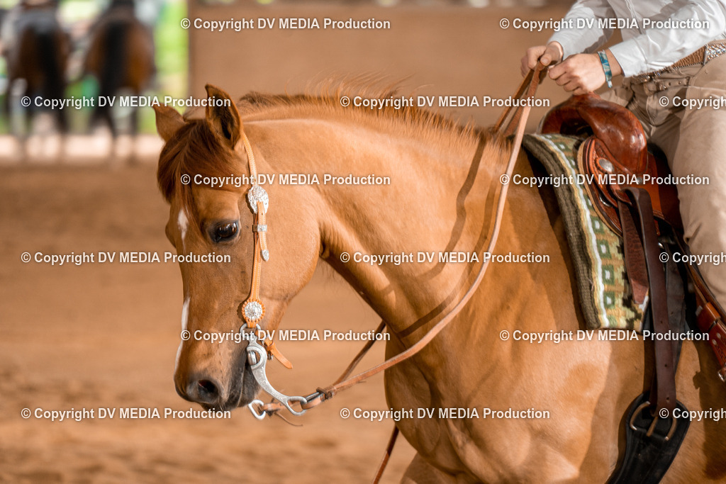 BA400698 | dv-media-shop - Realisiert mit Pictrs.com