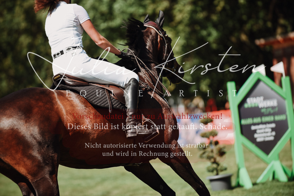 DSC_3243 | Pferde- und Turnierfotografie in Westsachsen. Pferdeportraits, Auftragszeichnungen und intuitive Kunst.
