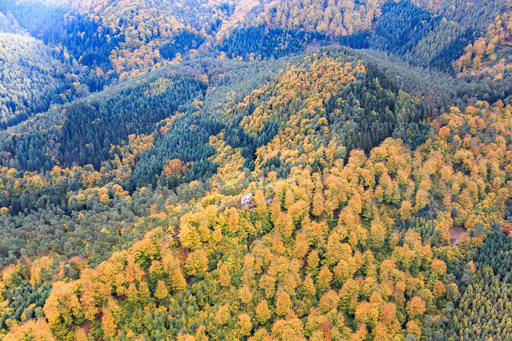 Vue aérienne: Château de Hohenfels à Dambach dans le département Bas Rhin, France – .Photo: IMG_084676.jpg prise le 23/10/2015 par Werner Riehm/FLY-FOTO.eu – Résolution de l'original: 5317 x 3545 px – Burg Hohenfels