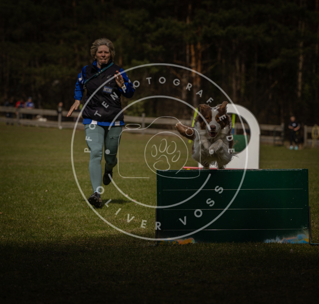 Pfotenfotografie_DV3A5115 | Hundefotografie, Tierfotograf, Pfotenfotografie, Fotoshooting Hund, Hunde Portrait, Hundesport, Hundeportraits, Heideshooting, Hunde, Sportfotograf, Hundefotograf, Turnierhundsport, THS,  - Realisiert mit Pictrs.com