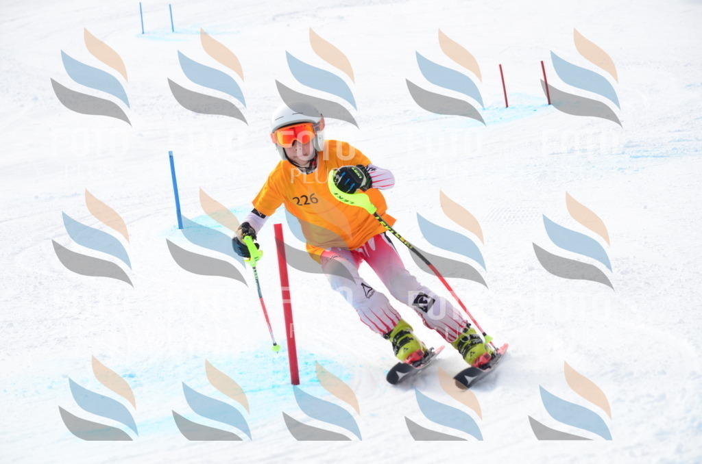 C8280 | holidayphoto