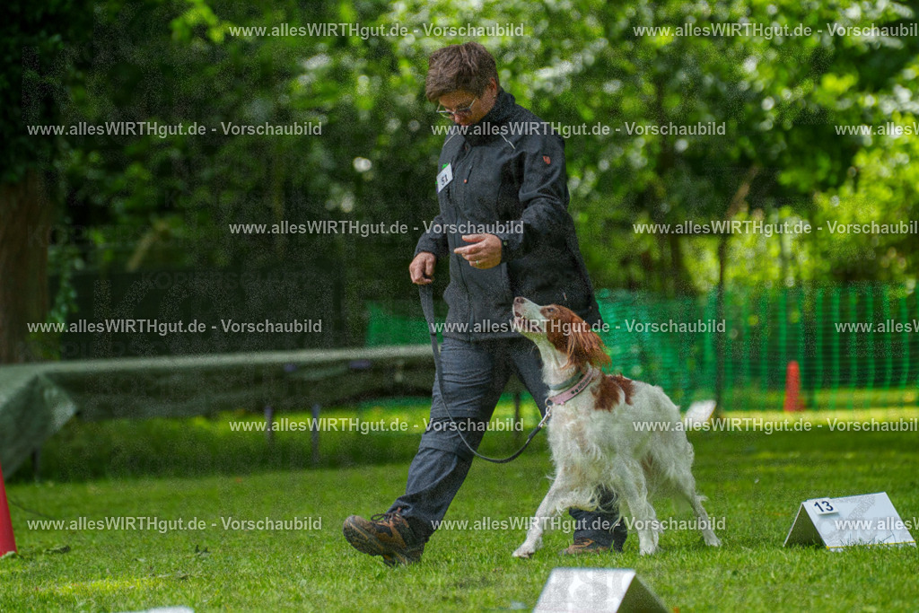 @allesWIRTHgut_Tierfotografie - www.allesWIRTHgut.de - 7R505796 | Professionelle Tierfotografie in Mönchengladbach von Daniel Wirth (allesWIRTHgut). Liebevolle & natürliche Bilder von Hunden & Katzen für unvergessliche Erinnerungen.