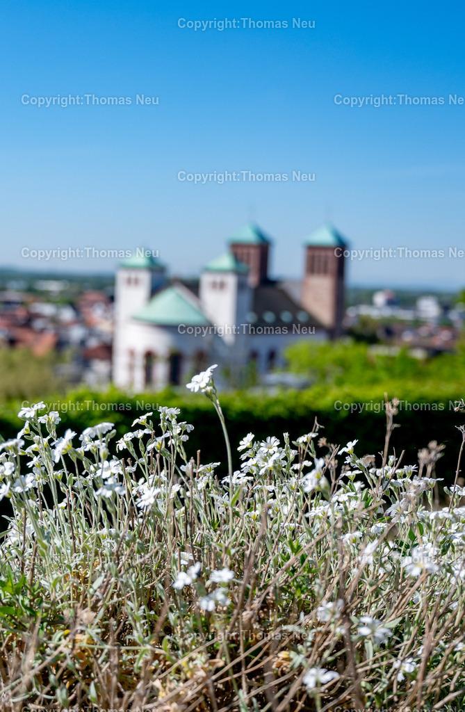 Pfarrkirche-Sankt-Georg-Bensheim-Fotografie-Thomas_Neu_6 | Blick vom Garten des Bensheimer Hospiz auf die Pfarrkirche Sankt Georg in bensheim, ,Bild: THomas Neu