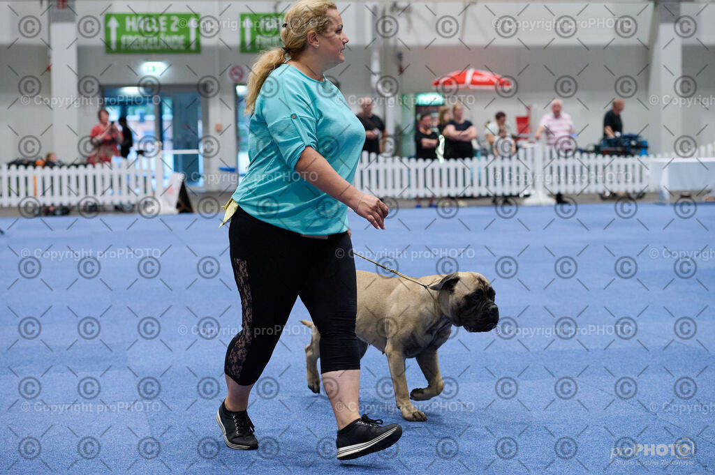 202406_ÖKV-IHA-Tulln24_DSC_3300 | proPHOTO - Realisiert mit Pictrs.com