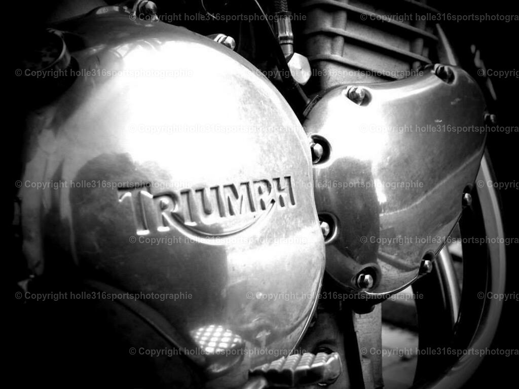 545236_3484746615467_621485889_n | Sportfotografie , Motorsport, Motoross, Reitsport, Mointainbike, Enduro,
Landschaft , Outdoor, Eventfotografie, Landschaft, Bilder online bestellen - Realisiert mit Pictrs.com