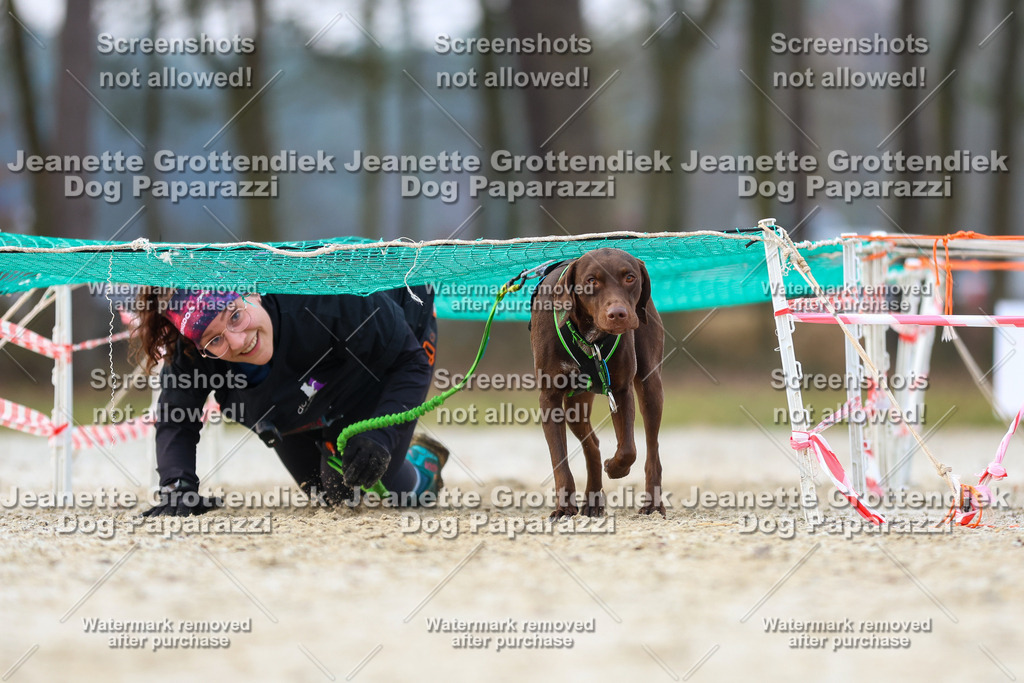 Dog Paparazzi - Strongdog North Mrz26-3883 | Dog Paparazzi Jeanette Grottendiek Fotografie & Videografie - Realisiert mit Pictrs.com