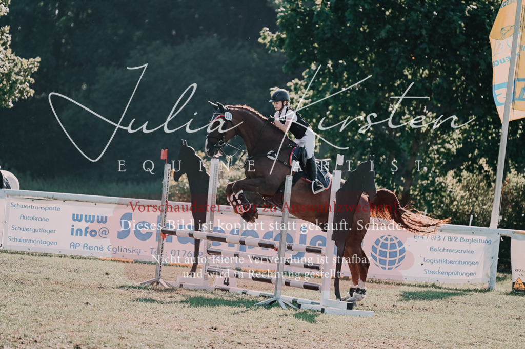 DSC_4861 | Pferde- und Turnierfotografie in Westsachsen. Pferdeportraits, Auftragszeichnungen und intuitive Kunst.