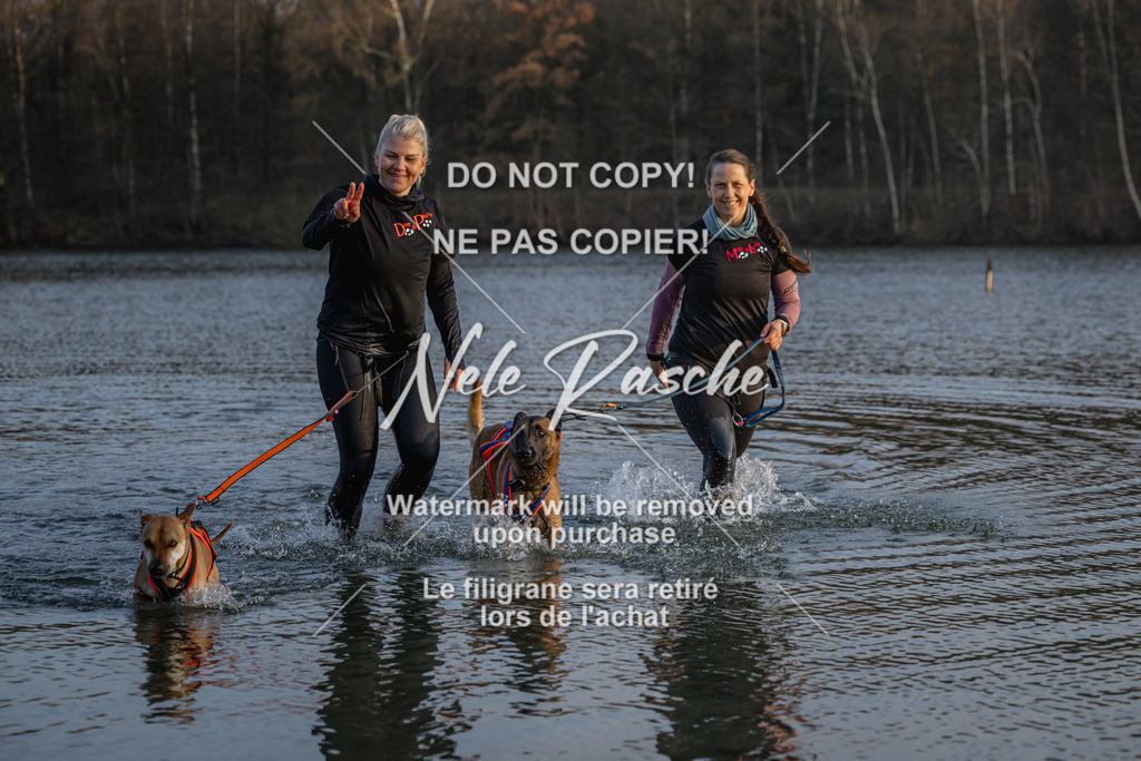 nelerasche_Hulsbeek_Sa1730-Ende_247 | nelerasche