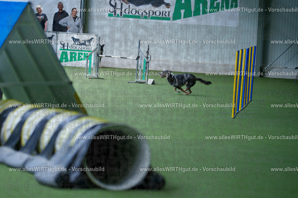 @allesWIRTHgut_Tierfotografie - www.allesWIRTHgut.de - 2604251224-7R501652 | Professionelle Tierfotografie in Mönchengladbach von Daniel Wirth (allesWIRTHgut). Liebevolle & natürliche Bilder von Hunden & Katzen für unvergessliche Erinnerungen.