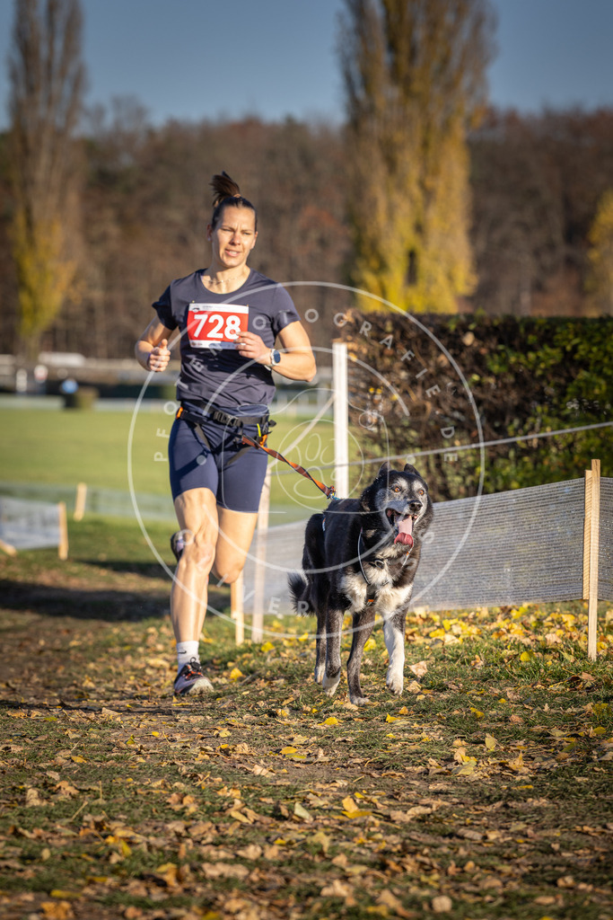 CaniXpix_DV3A1983 | Hundefotografie, Tierfotograf, Pfotenfotografie, Fotoshooting Hund, Hunde Portrait, Hundesport, Hundeportraits, Heideshooting, Hunde, Sportfotograf, Hundefotograf, Turnierhundsport, THS,  - Realisiert mit Pictrs.com