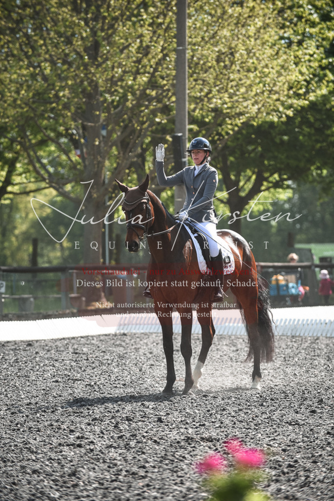 DSC_8981 | Pferde- und Turnierfotografie in Westsachsen. Pferdeportraits, Auftragszeichnungen und intuitive Kunst.