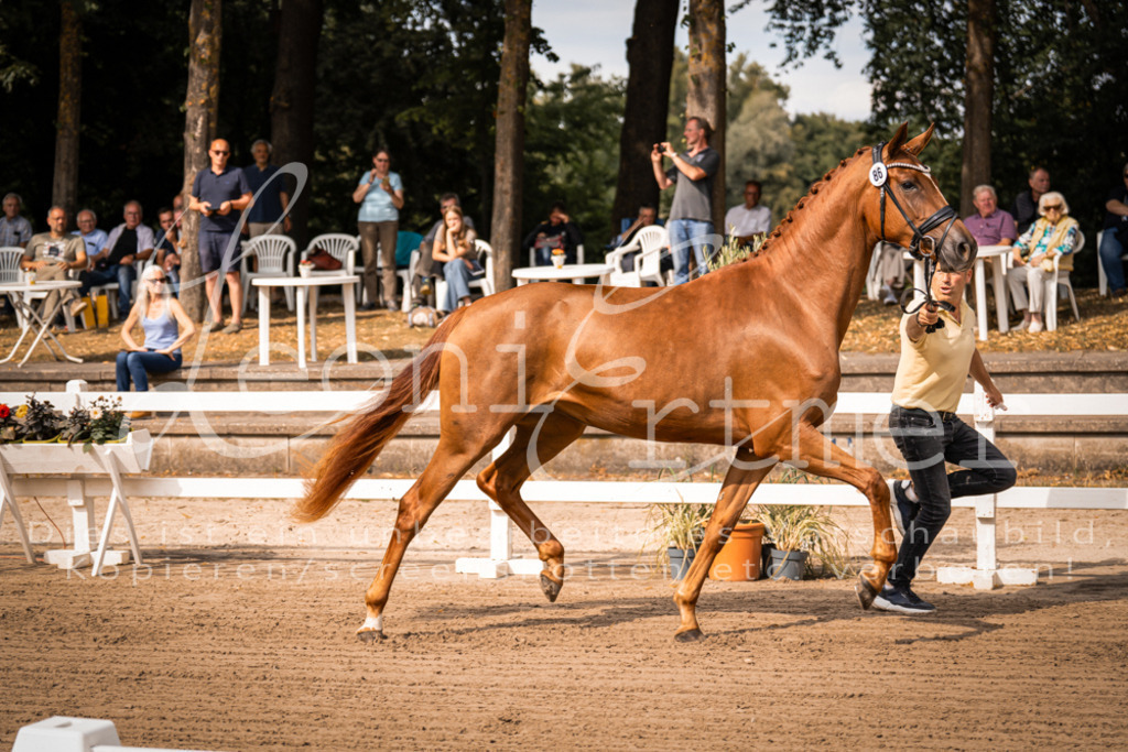 FrER00027 | Leoni Ertmer Photography - Realisiert mit Pictrs.com