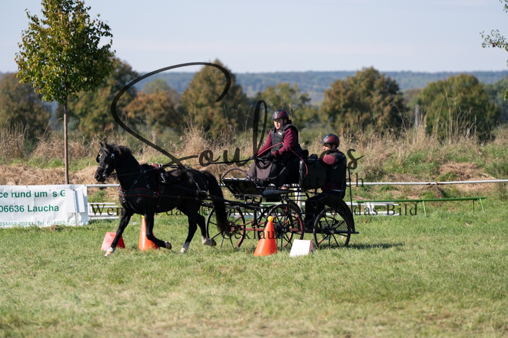 A7V04338 | Pferdefotograf