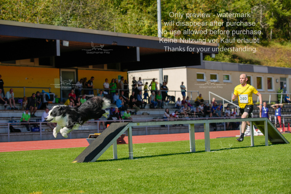 Sonntag_VK Hindernis (264 von 671) | stephaniefillaphotographie - Realisiert mit Pictrs.com