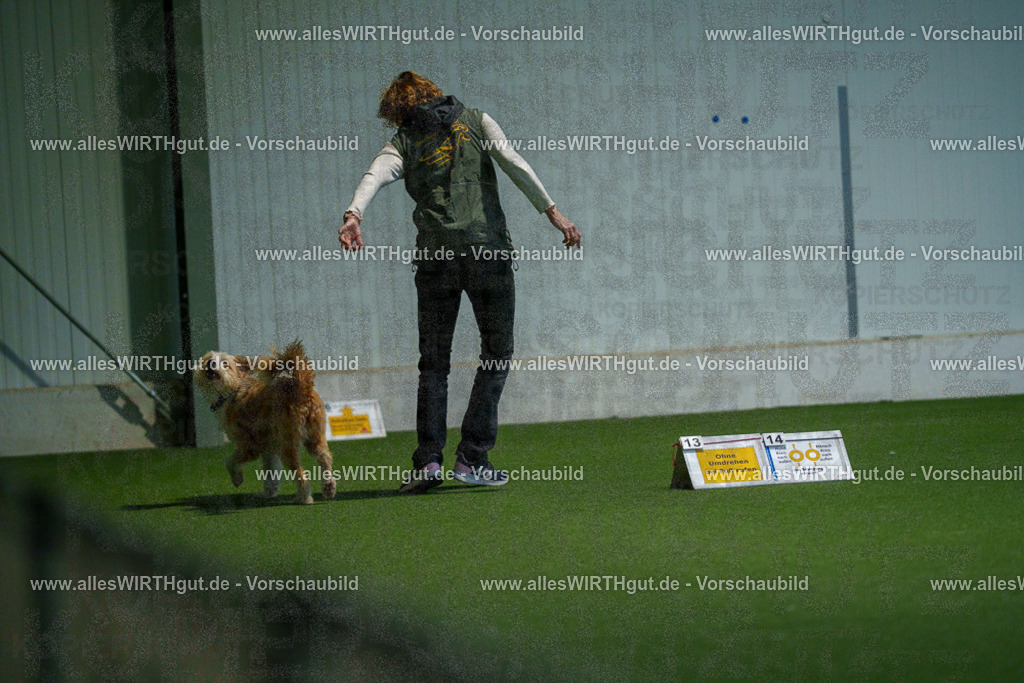 7R503432 | Professionelle Tierfotografie in Mönchengladbach von Daniel Wirth (allesWIRTHgut). Liebevolle & natürliche Bilder von Hunden & Katzen für unvergessliche Erinnerungen.