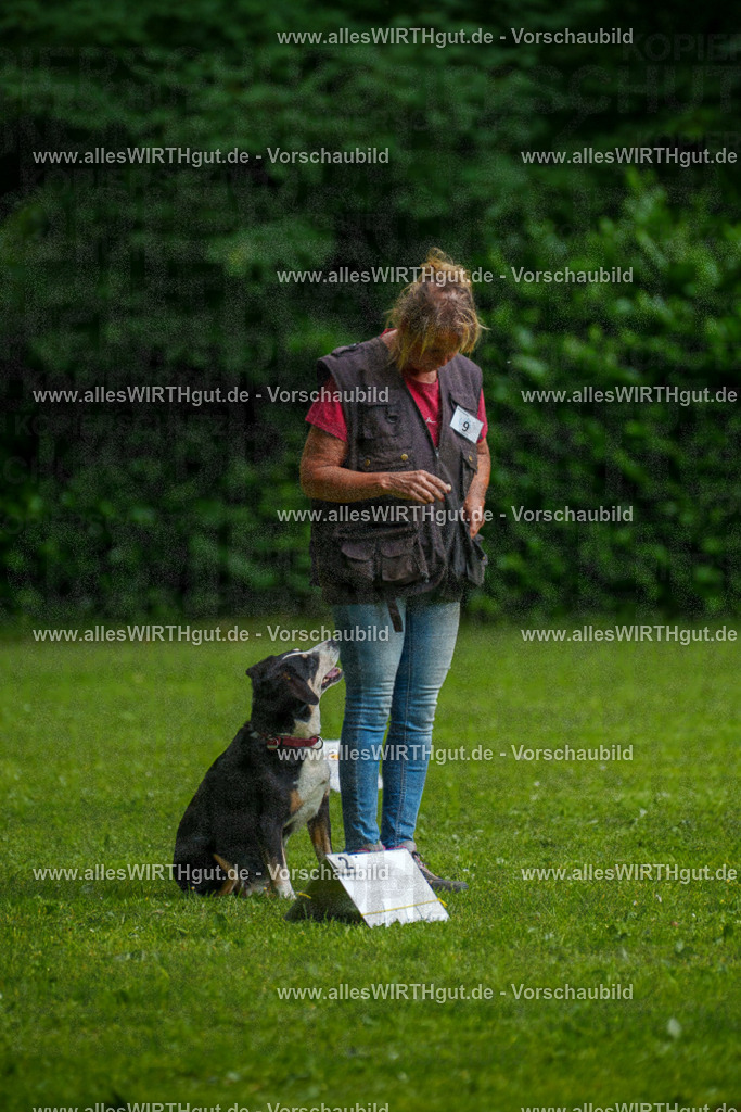 @allesWIRTHgut_Tierfotografie - www.allesWIRTHgut.de - 7R503371 | Professionelle Tierfotografie in Mönchengladbach von Daniel Wirth (allesWIRTHgut). Liebevolle & natürliche Bilder von Hunden & Katzen für unvergessliche Erinnerungen.