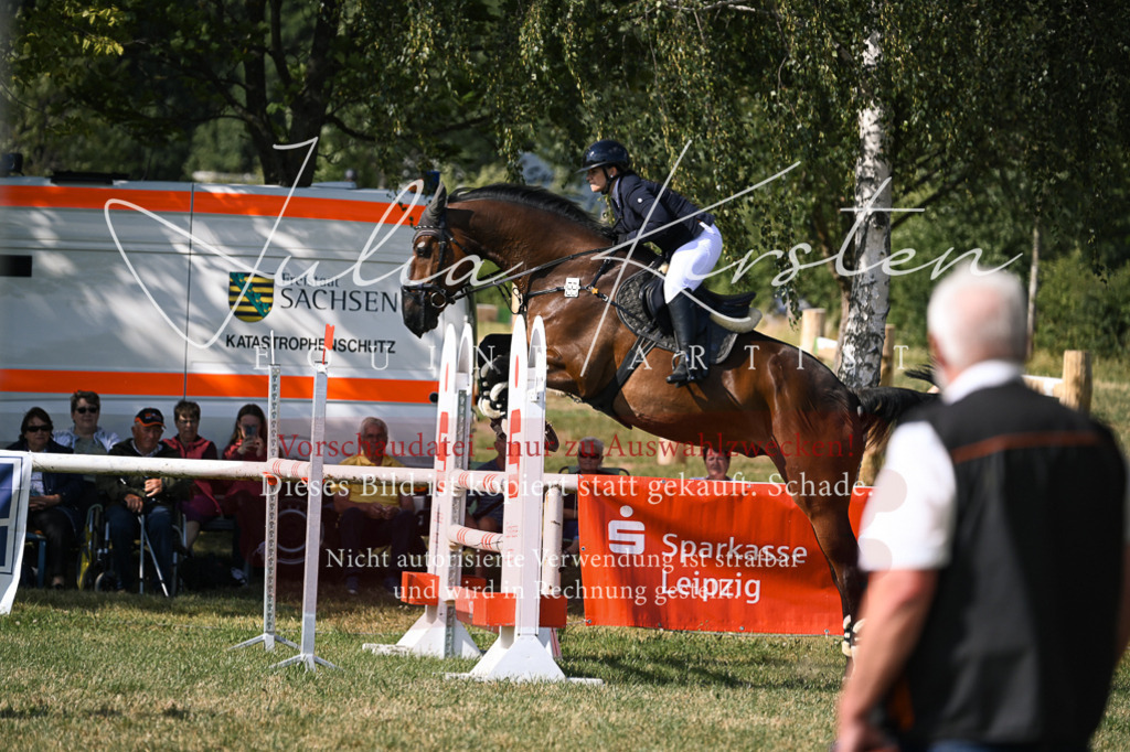 DSC_1168 | Pferde- und Turnierfotografie in Westsachsen. Pferdeportraits, Auftragszeichnungen und intuitive Kunst.