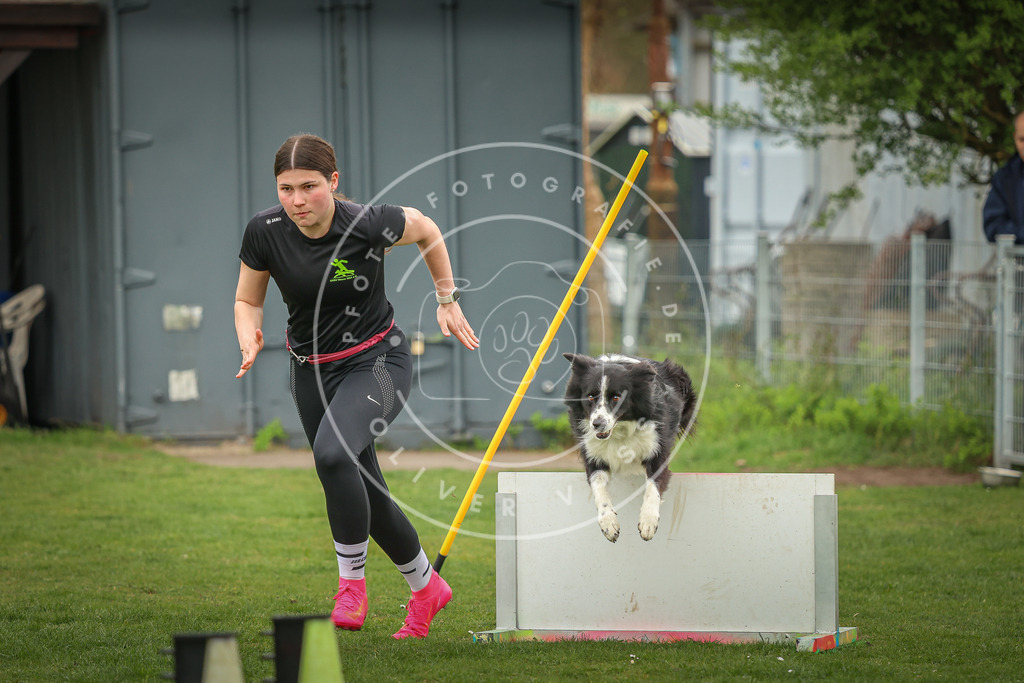 Pfotenfotografie_0L8A0810 | Hundefotografie, Tierfotograf, Pfotenfotografie, Fotoshooting Hund, Hunde Portrait, Hundesport, Hundeportraits, Heideshooting, Hunde, Sportfotograf, Hundefotograf, Turnierhundsport, THS,  - Realisiert mit Pictrs.com