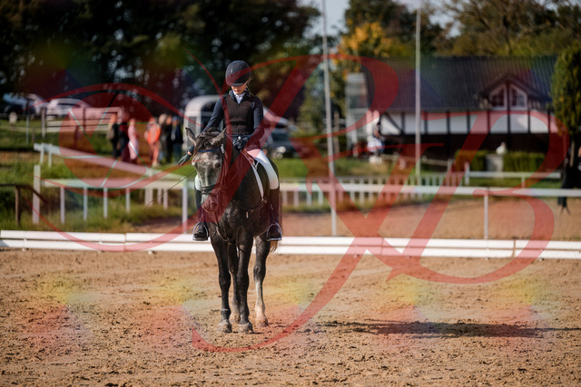 2026_10_03_Siefer-Hof_120356_Z63_35175773 | Professionelle Reitsport-, Turnier- und Eventfotografie von Robert Broda. Galerien mit ausgewählten und bearbeiteten Bildern direkt online ansehen und bestellen.