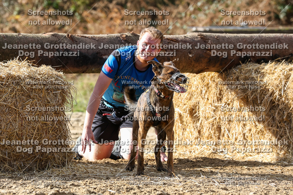 Dog Paparazzi - Strongdog 10-25-5410 | Dog Paparazzi Jeanette Grottendiek Fotografie & Videografie - Realisiert mit Pictrs.com
