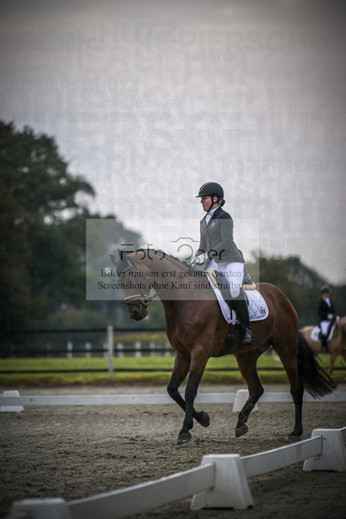 DOS_0688 | Entdecke hochwertige Reitturnierfotos von Foto Oger. Professionell, emotional und authentisch – jetzt Lieblingsmomente im Shop bestellen.Deutschlandweite Turnierfotografie. - Realisiert mit Pictrs.com