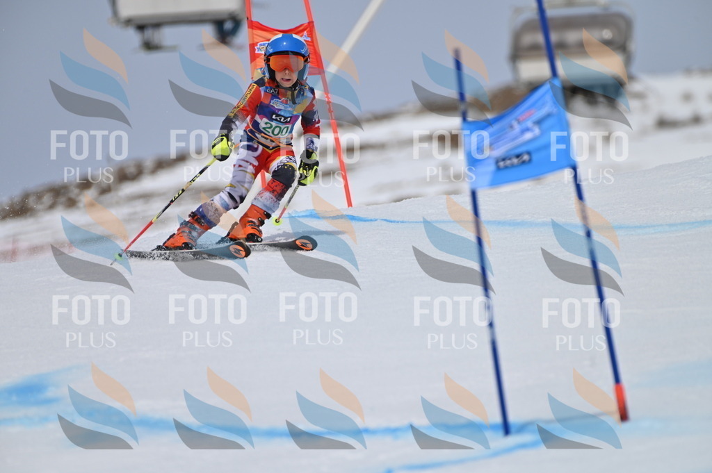 BGV_3849 | holidayphoto