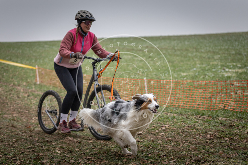 Pfotenfotografie_DV3A1730 | Hundefotografie, Tierfotograf, Pfotenfotografie, Fotoshooting Hund, Hunde Portrait, Hundesport, Hundeportraits, Heideshooting, Hunde, Sportfotograf, Hundefotograf, Turnierhundsport, THS,  - Realisiert mit Pictrs.com