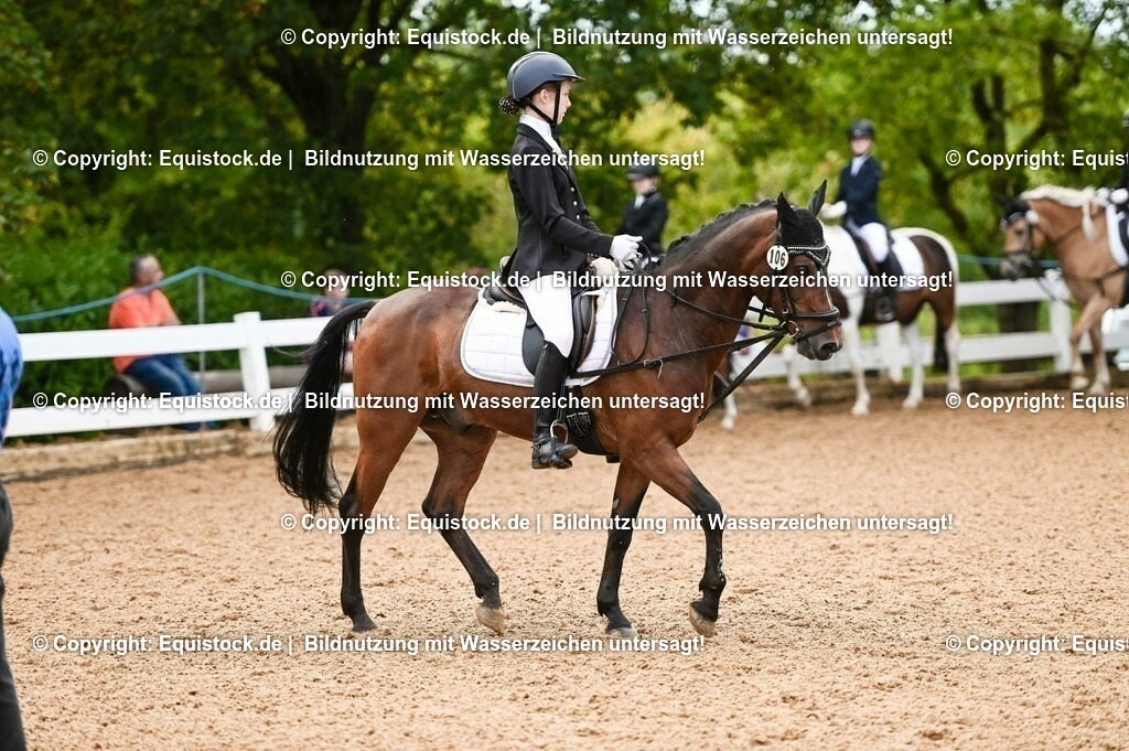 20230716_10-2_Reiter-WB Schritt - Trab - Galopp_0112 | equistock