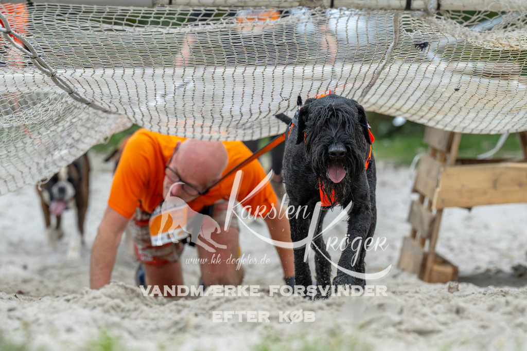 1041_ZZ94870 | kk-dogfotos