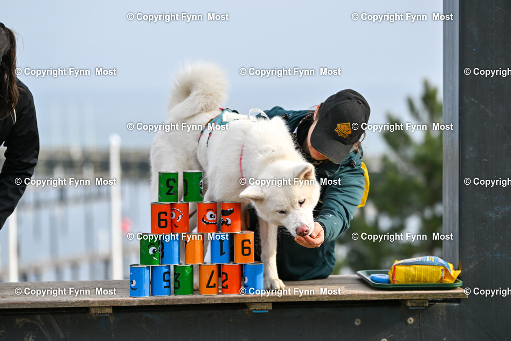 DSC_4752 | Hallo und herzlich Willkommen auf meiner Shop-Seite Fynn Most.

Ich wünsche Dir viel Spaß beim stöbern durch die Bilder, wenn Du Fragen hast oder Bilder vermisst, kannst du mir gerne eine Nachricht schreiben. - Realisiert mit Pictrs.com