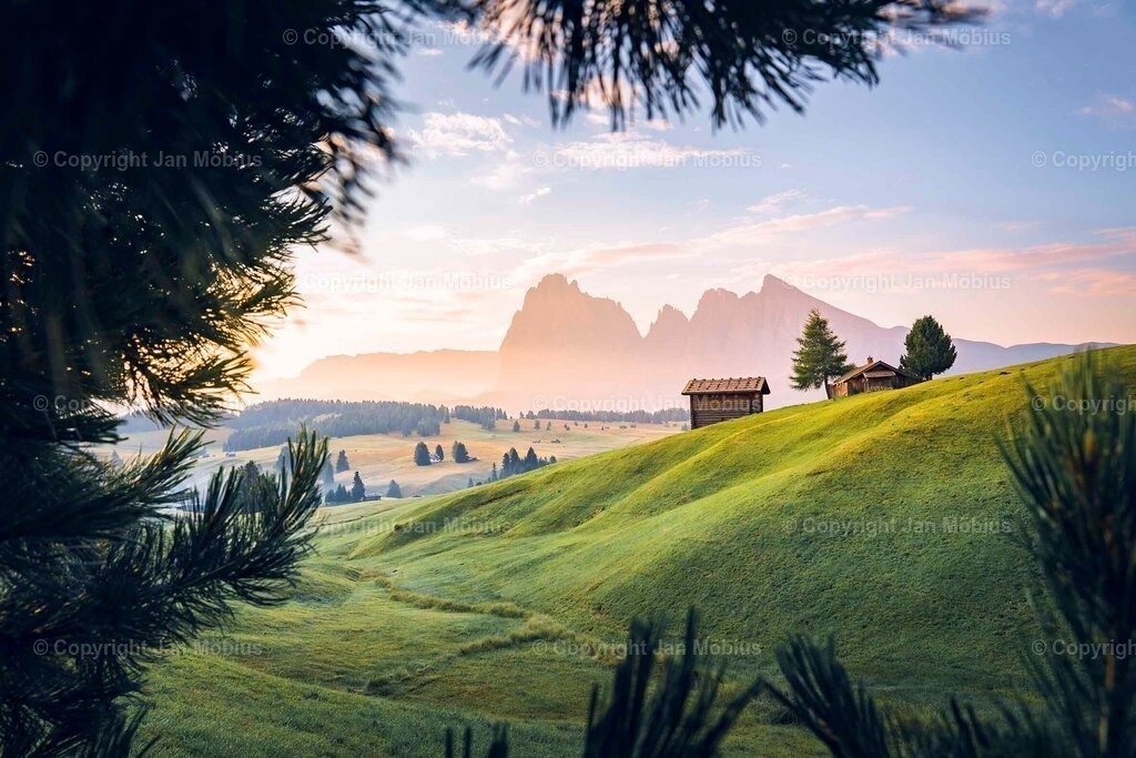 _DSC2056 | Leipzig Wandbilder Drucke Prints Leinwand Stadtmotive Leipzig Fotosdruck Kunstdrucke Bilder Leipzig Stadtansichten Acrylglasbilder Leipzig Wanddeko Fine Art Prints Wandbilder Büro Leipzig Bilder Praxis Zuhause Bilderdruck Poster Posterlounge Kunstdrucke - Realisiert mit Pictrs.com