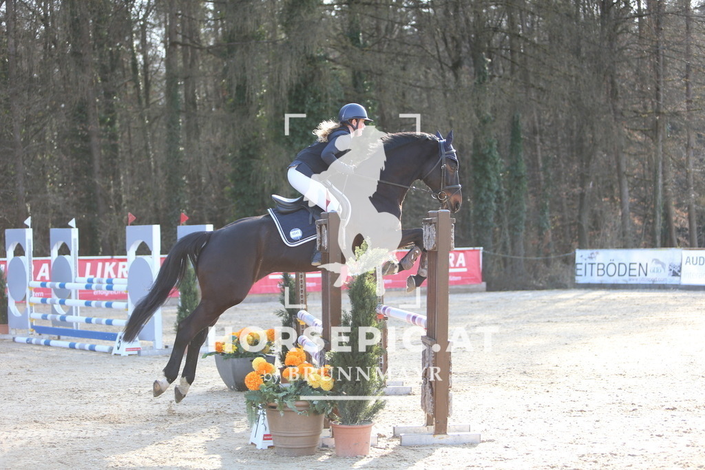 DL2Q4289 | Willkommen bei Brunnmayr - Design & Fotografie – Ihrem Spezialisten für Reitturniere und Pferdeveranstaltungen in Oberösterreich, Salzburg und Bayern! Seit über 17 Jahren sind wir leidenschaftlich dabei.
