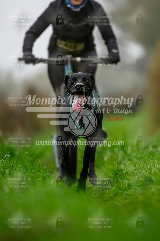 MompixPhotography_20TSB_E8_DS1-4 | PayLife