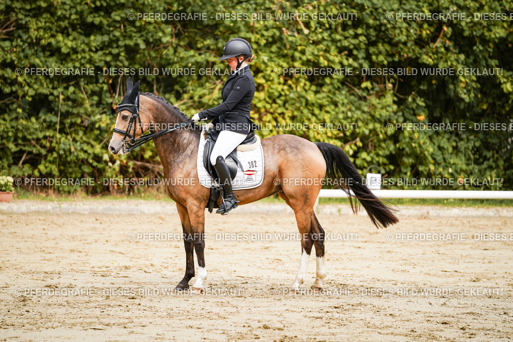 DSC02516 | Pferdegrafie