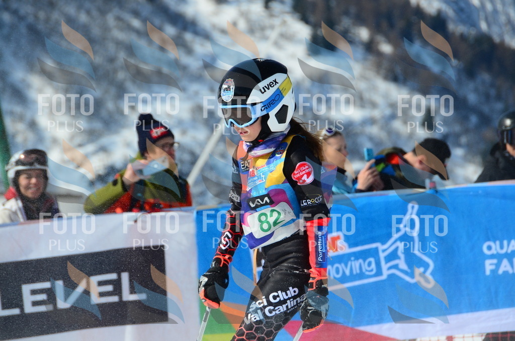 DSC_0517 | holidayphoto