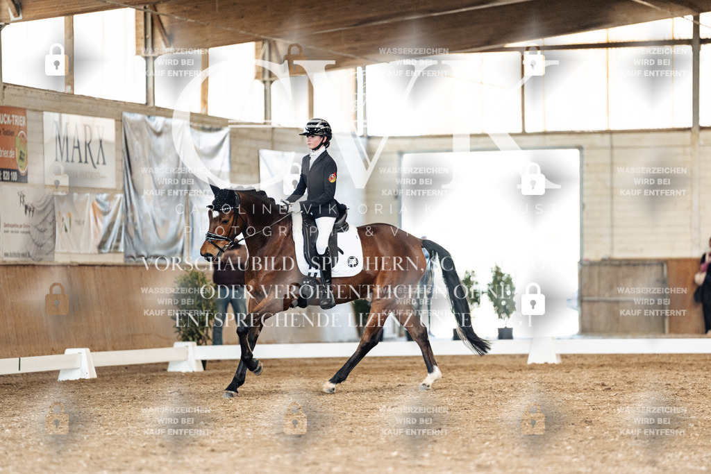 CK901505 | Turnierfotografie Pferdefotografie Trier Rheinland-Pfalz Pferdesport Reitsport Tierfotografie Sportfotografie Pferdevideo Pferdevideografie Equestrianvideography equestrianphotography  - Realisiert mit Pictrs.com