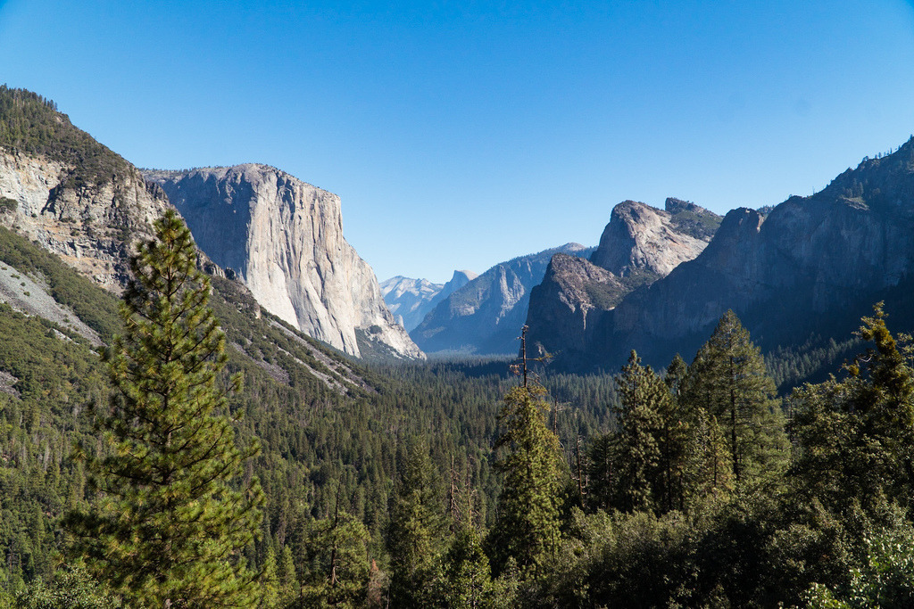 TH_09113 | freigereist - Realisiert mit Pictrs.com