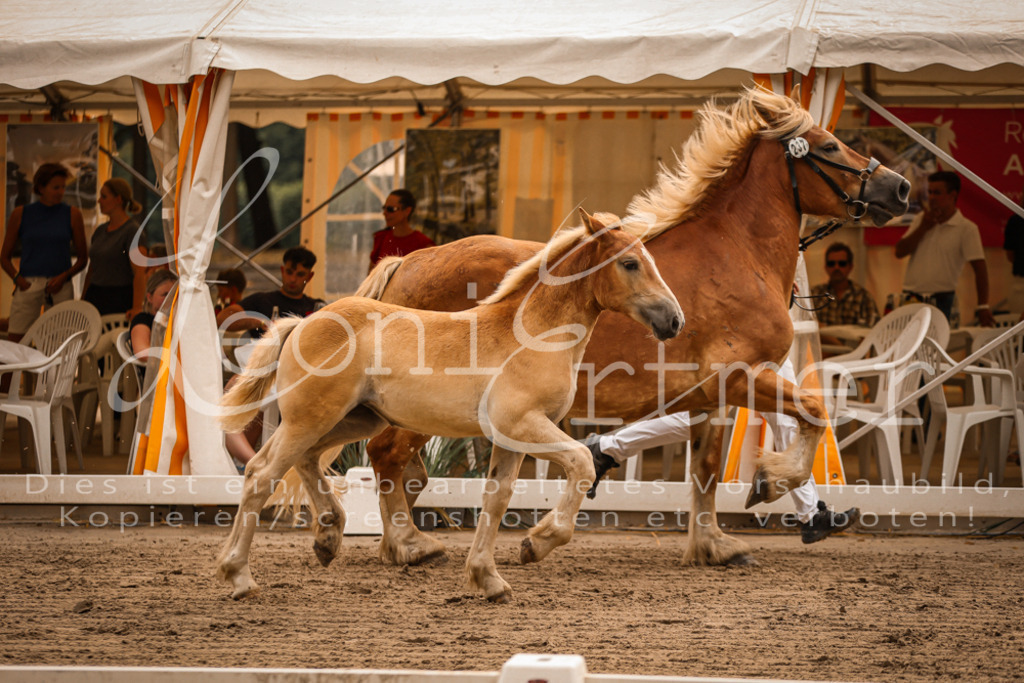 SaSF00109 | Leoni Ertmer Photography - Realisiert mit Pictrs.com