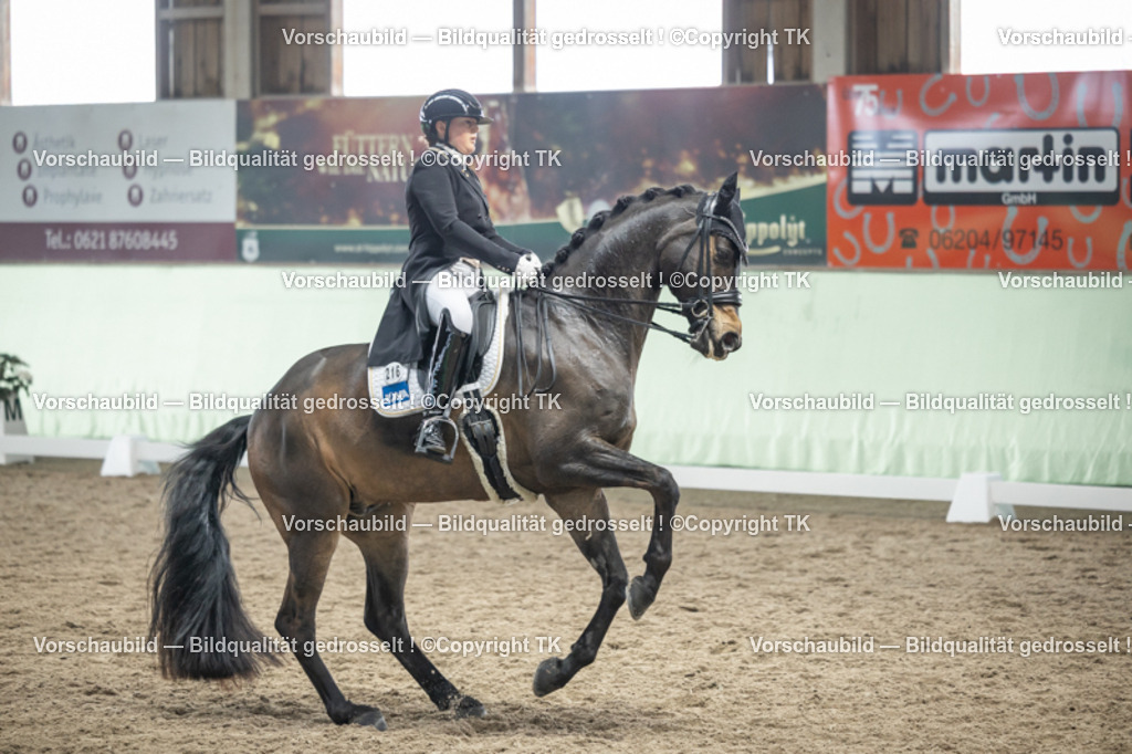 _D5A6083 | Emotionale Pferde- & People-Fotografie rund um Heidelberg, Leimen & Umgebung. Natürliche Fotos von Pferd, Mensch & Familie. Jetzt Termin sichern!