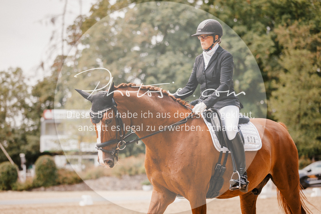 3I6A6019 | Stimmungsvolle Portraits und Reitsportfotografie im Ruhrgebiet und im Münsterland.

Pferdefotografie, Hundefotografie, Tierfotografie, Reportagen, Portraits von Tier und Mensch, Turnierfotografie in Bochum, Recklinghausen, Marl, Haltern am See, Dülmen.. - Realisiert mit Pictrs.com
