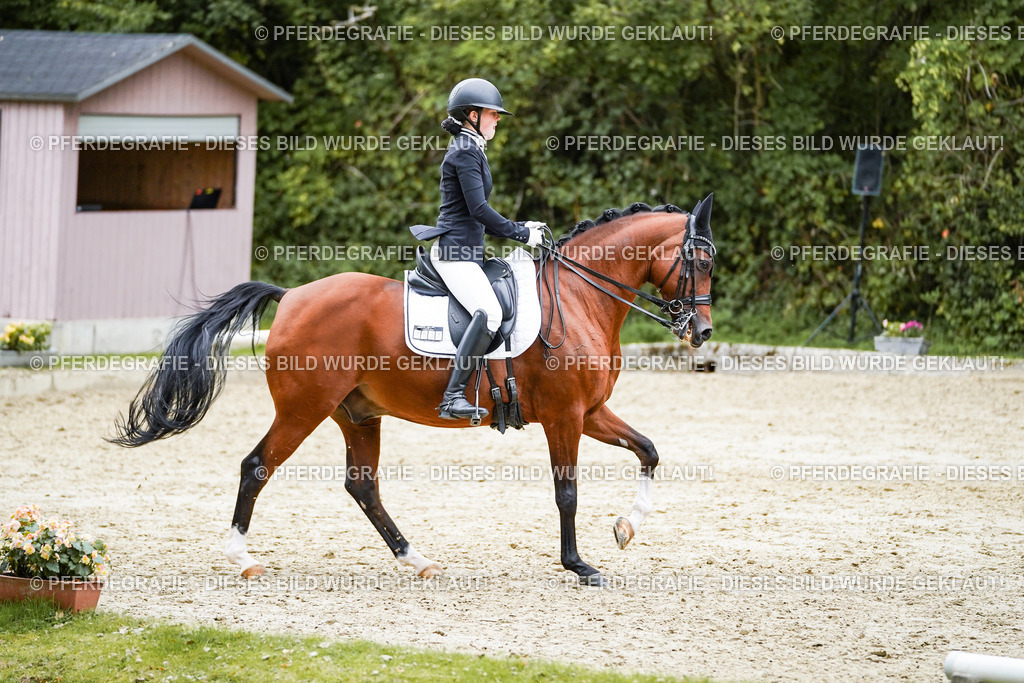 DSC01604 | Pferdegrafie