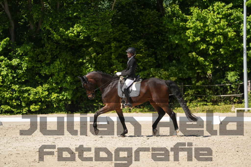 DSC00496 | Julian Held Fotografie - Realisiert mit Pictrs.com