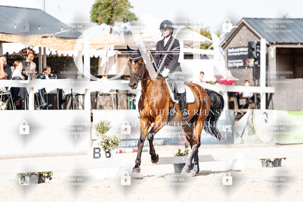 CK905747 | Turnierfotografie Pferdefotografie Trier Rheinland-Pfalz Pferdesport Reitsport Tierfotografie Sportfotografie Pferdevideo Pferdevideografie Equestrianvideography equestrianphotography  - Realisiert mit Pictrs.com