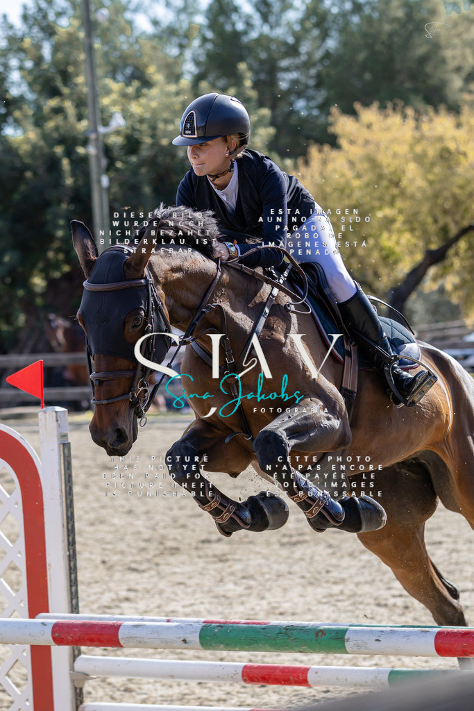 IMG_0653 | s-jay-photography - Realisiert mit Pictrs.com