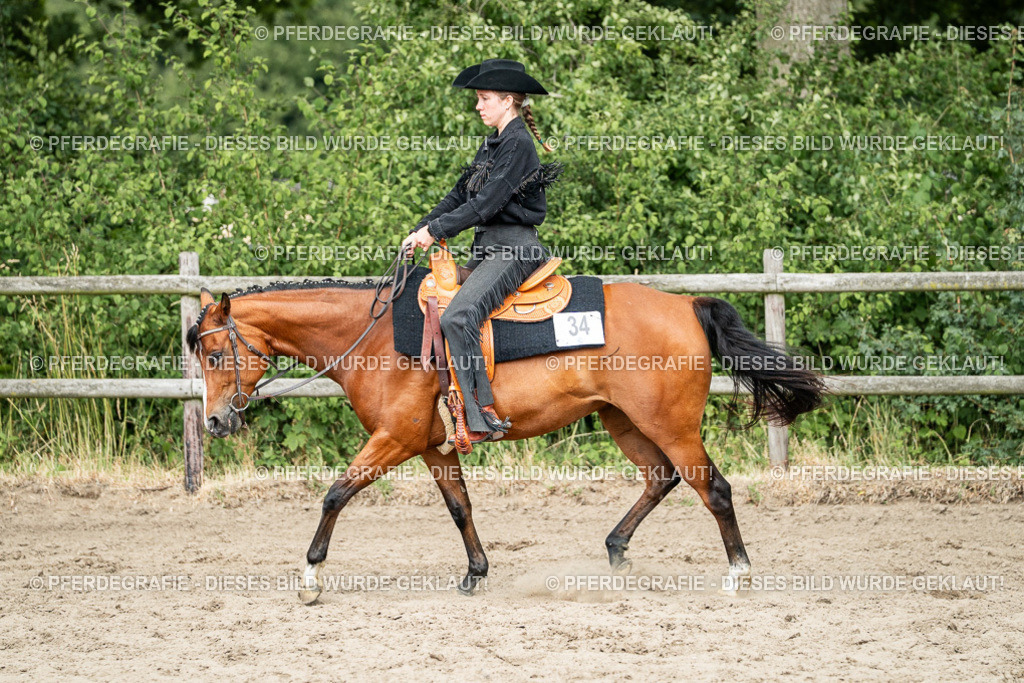 DSC02244 | Pferdegrafie