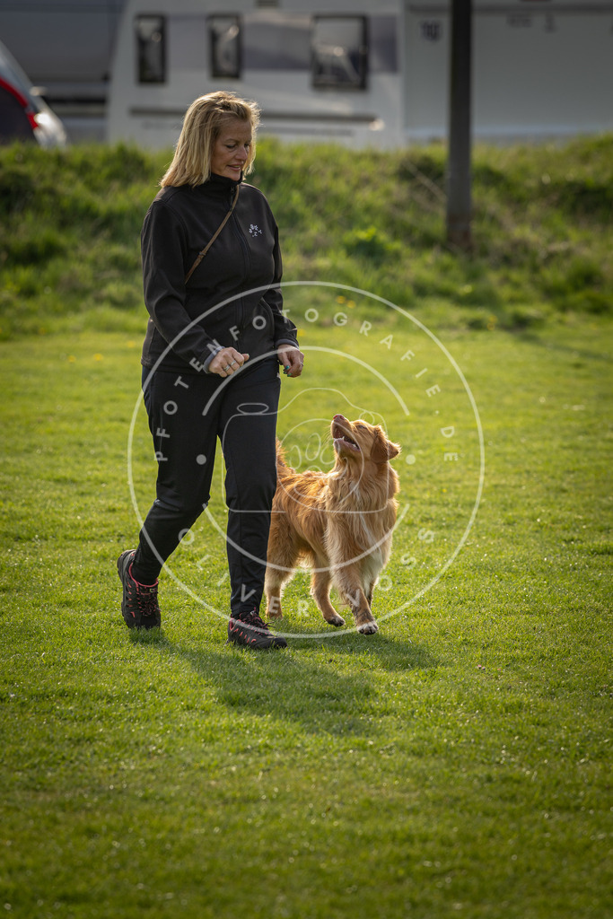 Pfotenfotografie_DV3A4853 | Hundefotografie, Tierfotograf, Pfotenfotografie, Fotoshooting Hund, Hunde Portrait, Hundesport, Hundeportraits, Heideshooting, Hunde, Sportfotograf, Hundefotograf, Turnierhundsport, THS,  - Realisiert mit Pictrs.com
